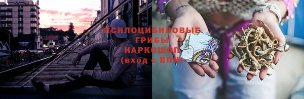 ПСИЛОЦИБИНОВЫЕ ГРИБЫ Белоозёрский